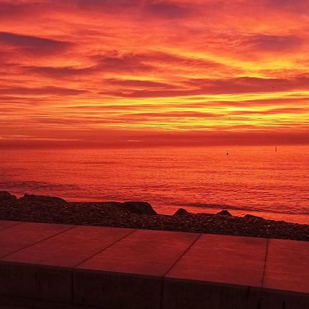 Bel Appartement Les Pieds Dans L'Eau Villeneuve-Loubet Luaran gambar