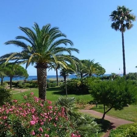 Bel Appartement Les Pieds Dans L'Eau Villeneuve-Loubet Luaran gambar