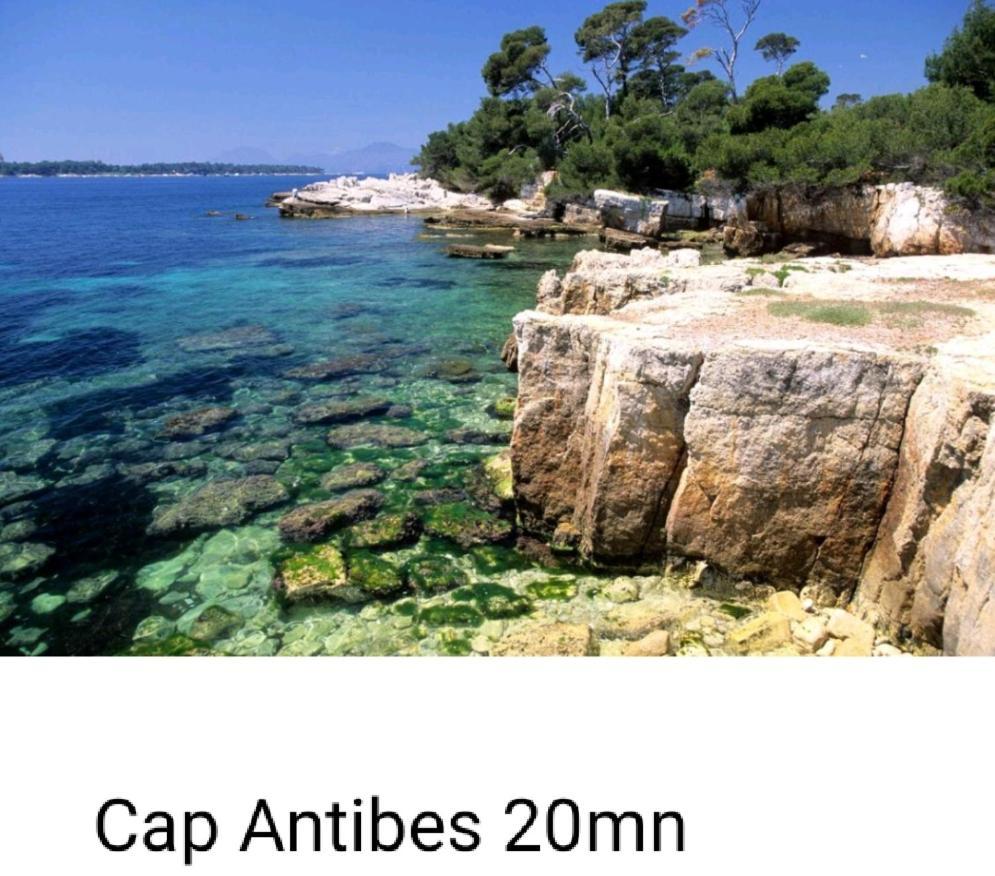 Bel Appartement Les Pieds Dans L'Eau Villeneuve-Loubet Luaran gambar