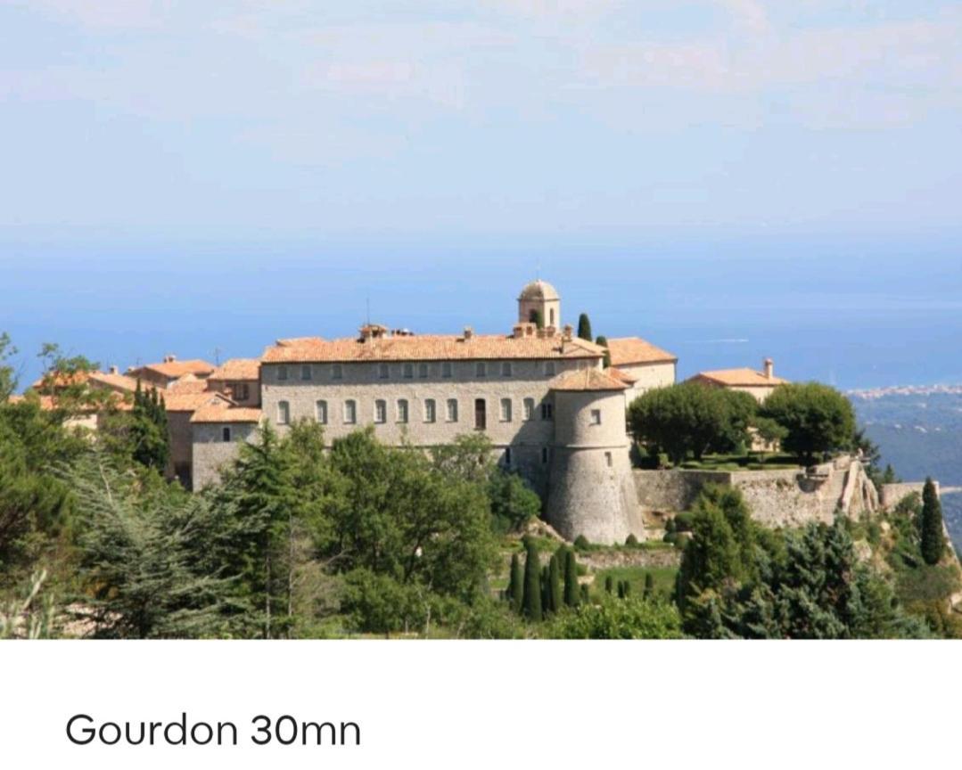 Bel Appartement Les Pieds Dans L'Eau Villeneuve-Loubet Luaran gambar
